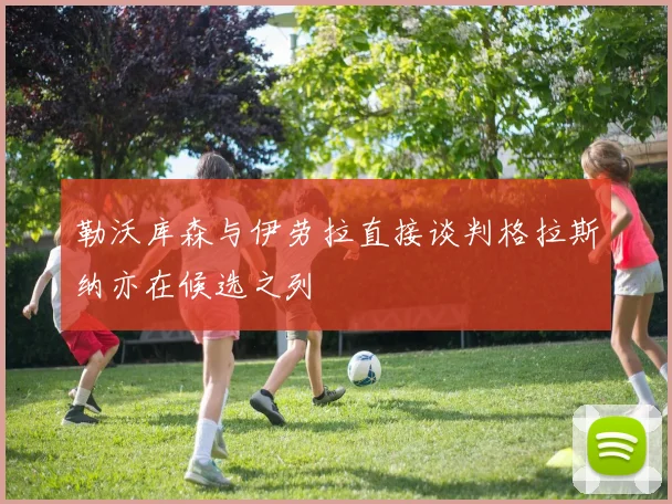 勒沃库森与伊劳拉直接谈判格拉斯纳亦在候选之列